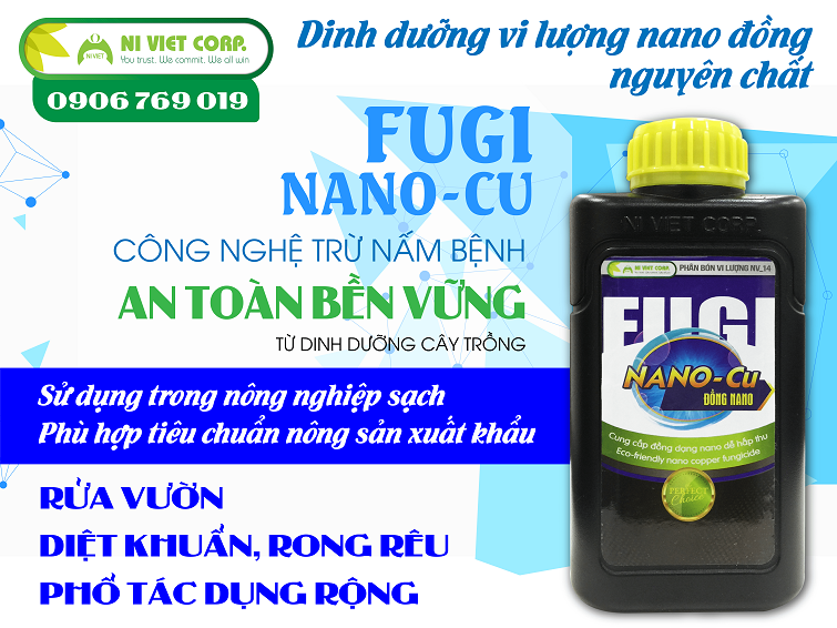 dinh-duong-vi-luong-nano-dong