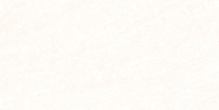 Gạch Prime 30x60cm 17429
