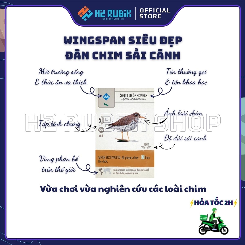 Wingspan Board Game Chiến Thuật Cao Cấp Tiếng Anh