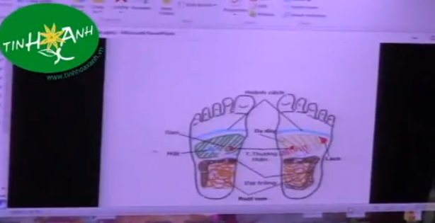 Bấm huyệt chữa các bệnh TIÊU HÓA theo phương pháp phản xạ (P.4)- Thầy Lê Phương Cảo