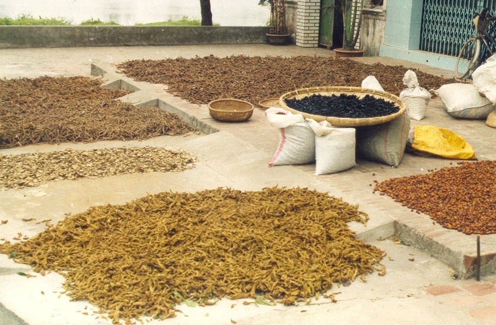 Phương pháp - Mục đích chế biến Dược liệu