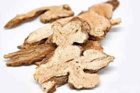 Chế biến Bạch truật