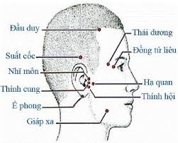 Bấm huyệt chữa các bệnh về TAI theo phương pháp phản xạ (P.1) - Thầy Lê Phương Cảo