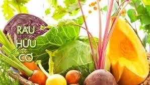 Lợi ích sức khỏe của thực phẩm hữu cơ