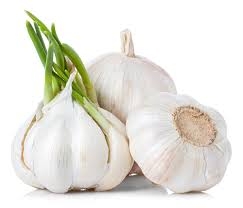 Ăn Tỏi mọc mầm có an toàn?