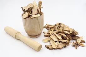 Thương truật trị phong thấp, rối loạn tiêu hóa