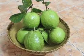 Tại sao ổi được xem là loại trái cây vua trong việc làm đẹp?