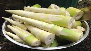 Dược thiện hỗ trợ trị giảm tiểu cầu