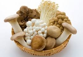 Bí quyết giảm mỡ toàn thân từ thảo dược thiên nhiên an toàn cho chị em