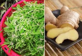Rau khúc trị ho hen, cảm lạnh