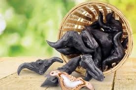 Củ ấu trị cảm sốt