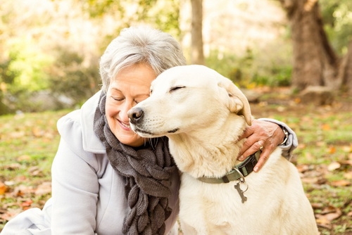 “Hormon tình yêu”: Cách mà những chú chó chiếm được tình cảm con người