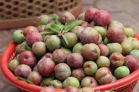 Bài thuốc từ cây mận