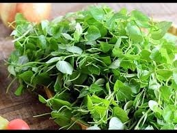Rau Càng cua làm thuốc