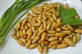 Người bệnh hen suyễn nên kiêng ăn gì?