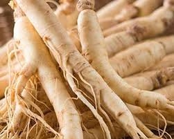 Đảng sâm ích khí, dưỡng huyết