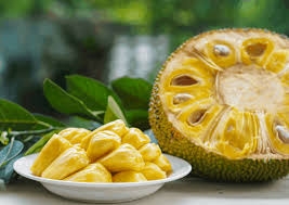 Khám phá lợi ích từ trái Mít với sức khỏe