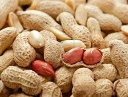 Vì sao ăn lạc có lợi cho sức khỏe?