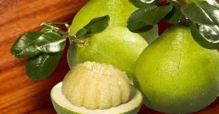 Bưởi - Vị thuốc trị ho