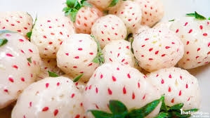 7 lợi ích sức khỏe ‘thần kỳ’ của Dâu tây trắng