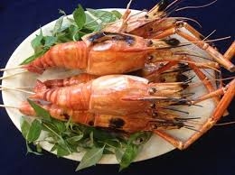 Một số bài thuốc tốt từ sinh vật biển
