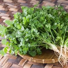 5 cách giúp cơ thể tỏa hương thơm quyến rũ