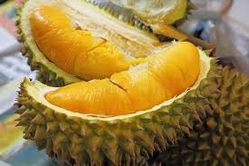 Sầu riêng làm thuốc