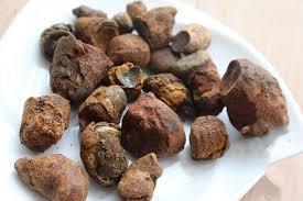 Sỏi động vật làm thuốc