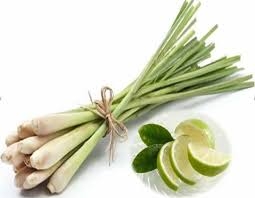 Bí quyết giúp cơ thể tỏa hương