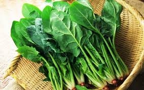 9 thực phẩm nuôi dưỡng làn da đẹp