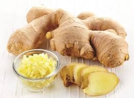 Gừng trị bệnh tiết niệu, tê thấp