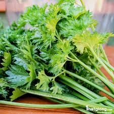 Những liệu pháp tự nhiên giúp giảm cholesterol hiệu quả