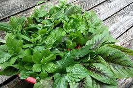 Một số món ăn thuốc từ dền cơm