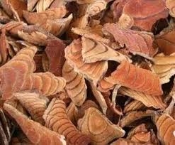 Huyết rồng - Thông kinh lạc, chữa đau khớp