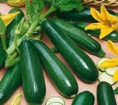 Bí ngòi - kho dinh dưỡng thiên nhiên