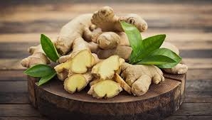Thuốc hay từ củ Gừng