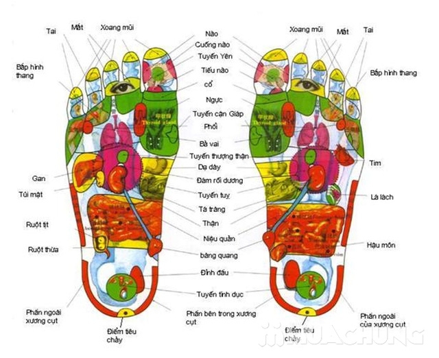 Tuyệt chiêu massage bàn chân giảm đau cơ thể và chữa bệnh