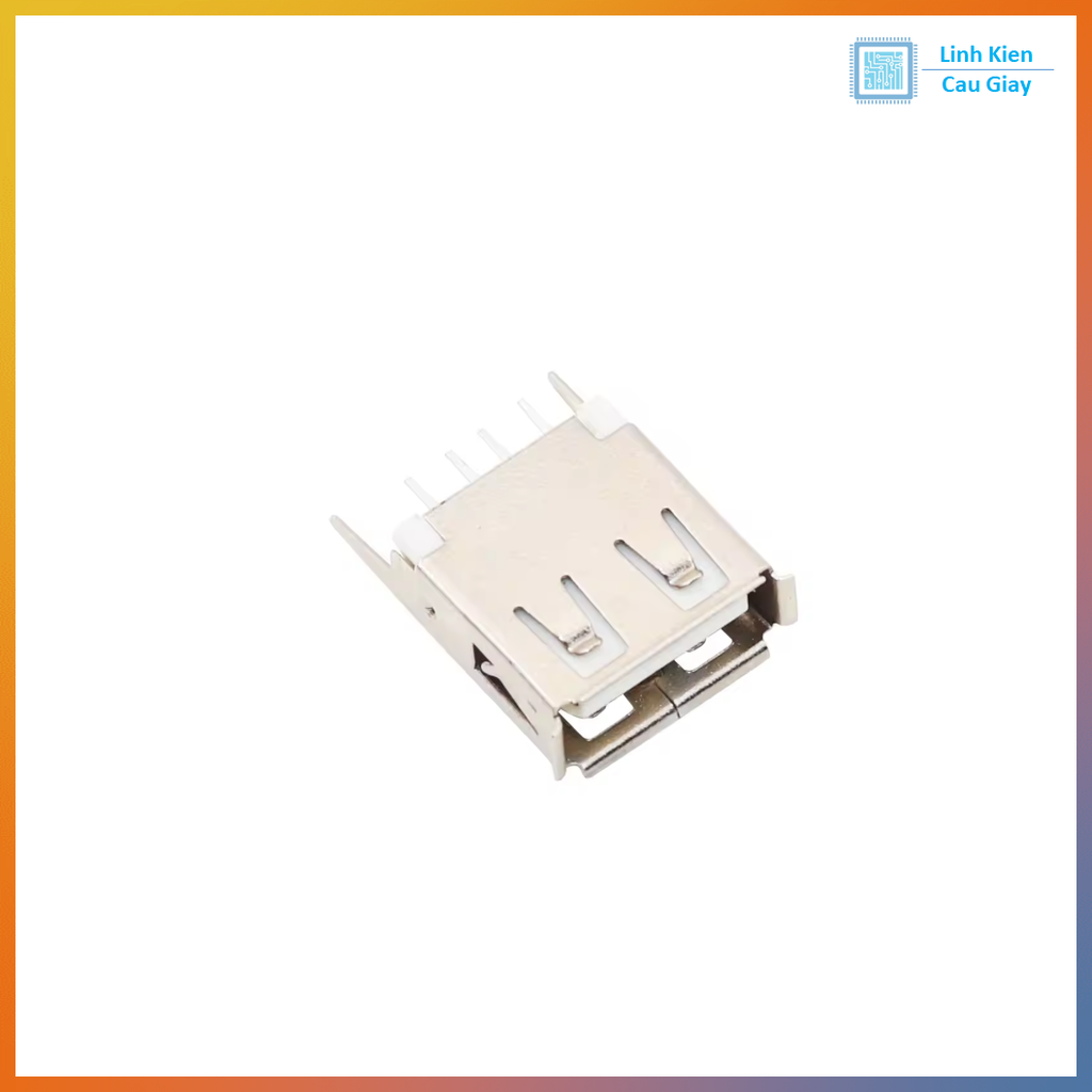 Chân USB Type A loại Cái kiểu 1