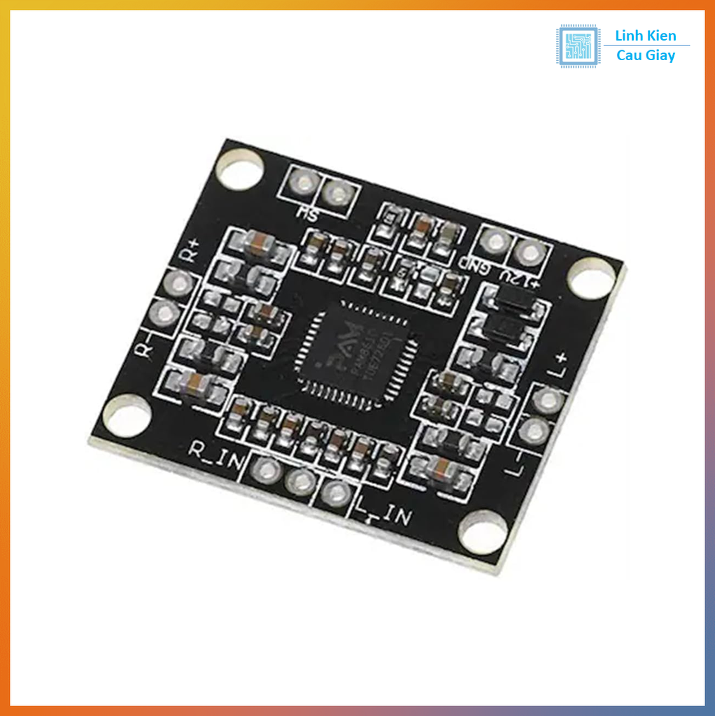 Module Khuếch đại âm thanh PAM8610