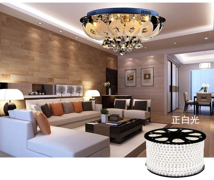 Led dây 5050 - 220v Đủ màu giá 1 mét