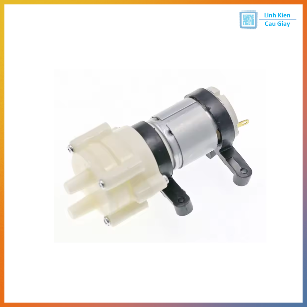 Máy Bơm Mini 6 - 12V DC MB365 ( R365 )