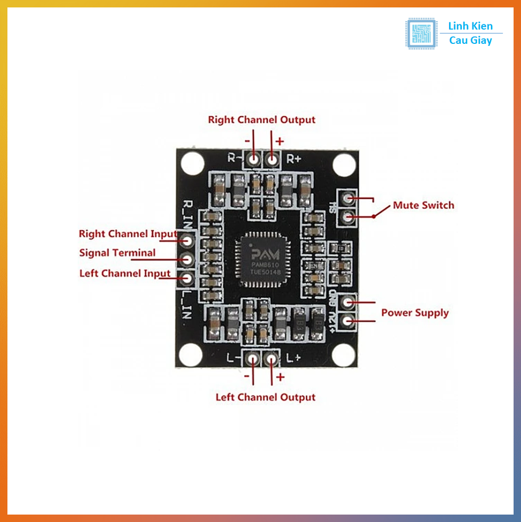 Module Khuếch đại âm thanh PAM8610