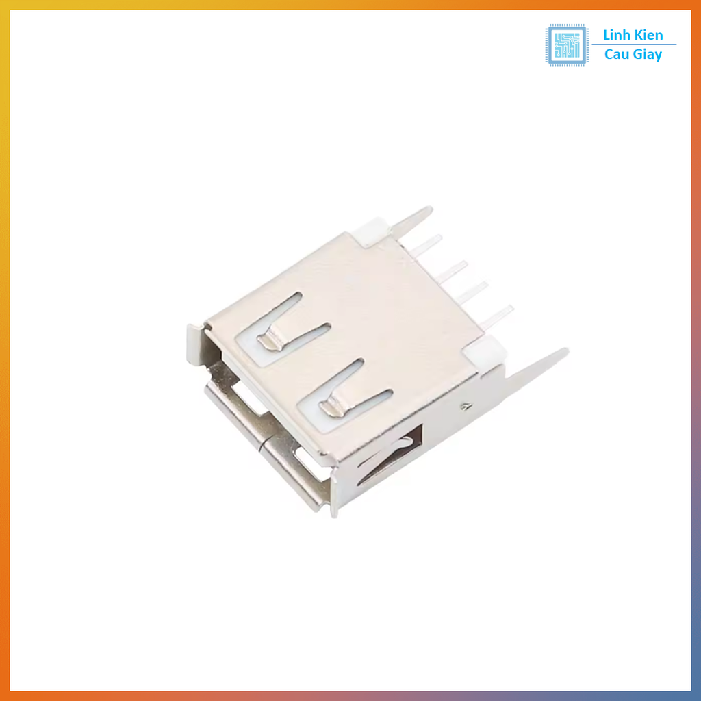 Chân USB Type A loại Cái kiểu 1