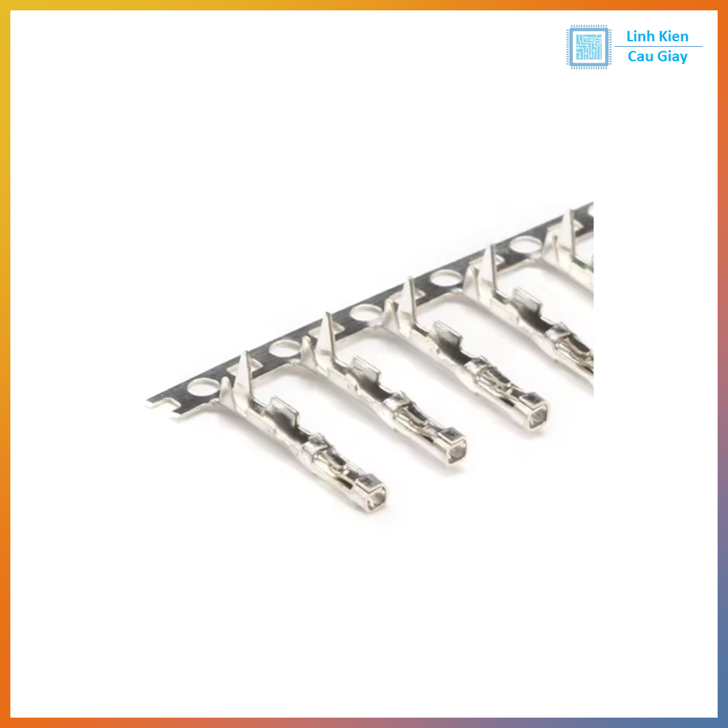 Lõi Header DuPont 2.54mm Cái (10 con)