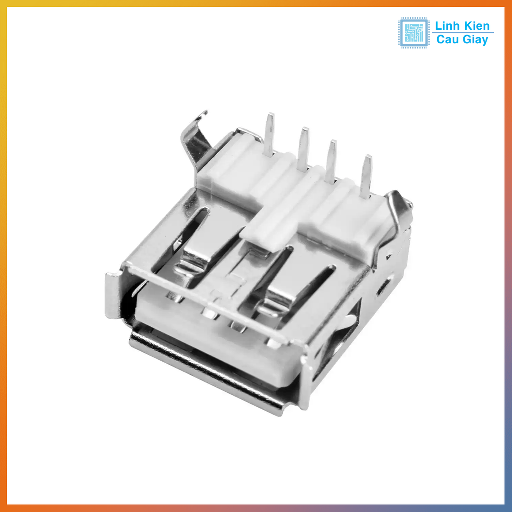 Chân USB Type A loại Cái kiểu 2