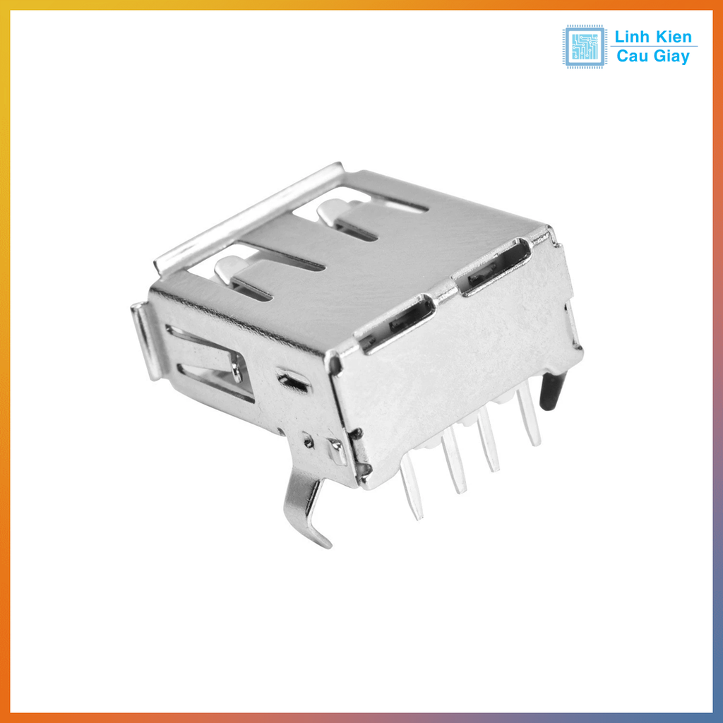 Chân USB Type A loại Cái kiểu 2