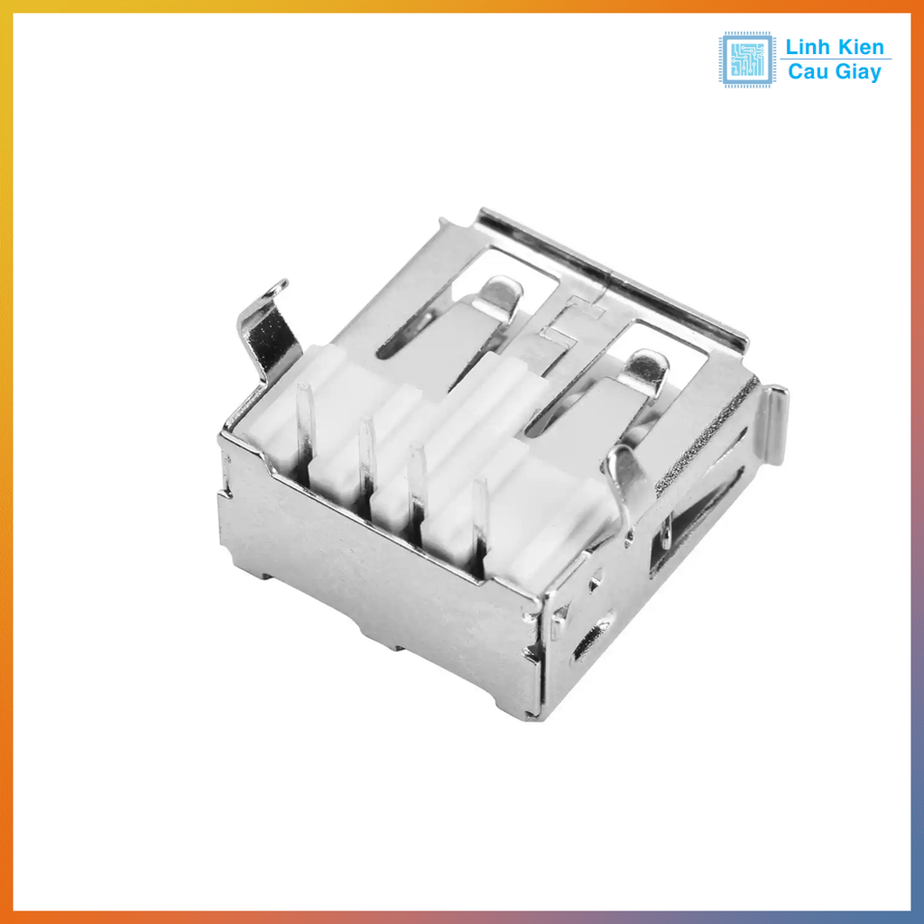 Chân USB Type A loại Cái kiểu 2