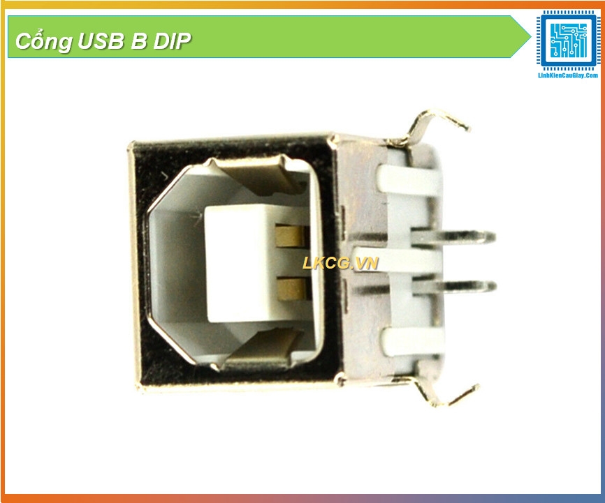 Cổng USB B DIP