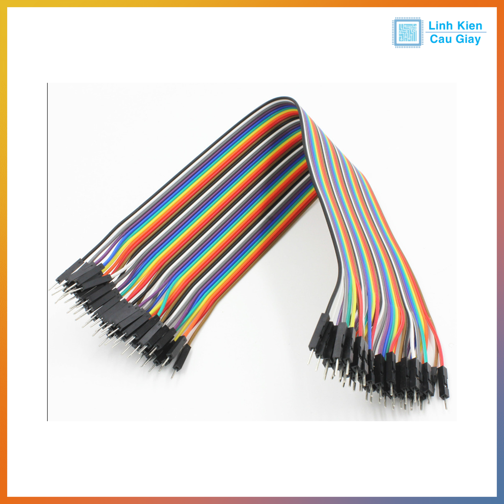 Dây Bus 40P 20CM loại tốt (Đực - Đực)