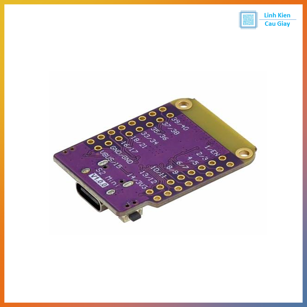 Module ESP32-S2-Mini Dev Board (S2 Mini V1.0.0)